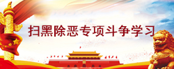 扫黑除恶专项斗争学习